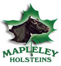 Mapleley Holsteins Eastern Ontario Western Quebec Championship Show Holstein Cow Winners